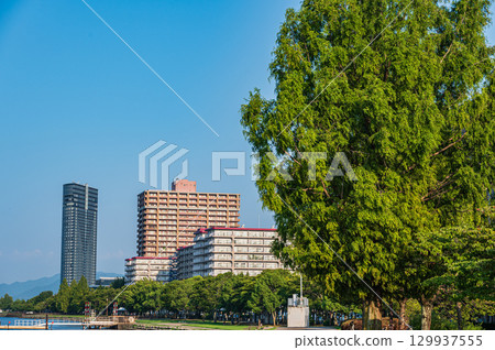 Lake Biwa Nagisa Park, Otsu City, Shiga Prefecture 129937555