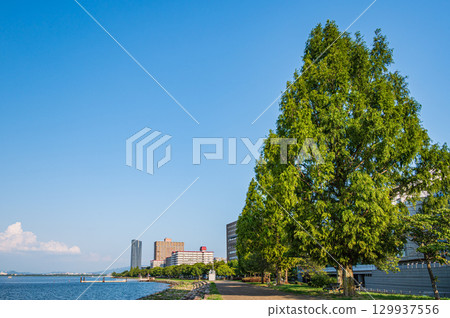 Lake Biwa Nagisa Park, Otsu City, Shiga Prefecture 129937556
