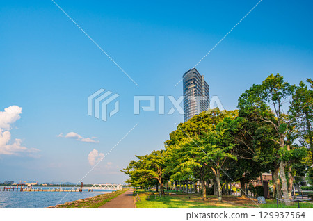 滋賀縣大津市琵琶湖渚公園 滋賀縣大津市琵琶湖渚公園 129937564