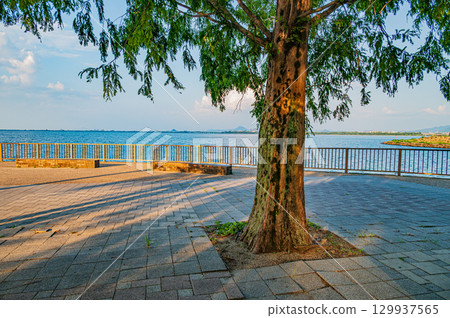 滋賀縣大津市琵琶湖畔的大津渚公園的午後時光 滋賀縣大津市琵琶湖畔的大津渚公園的午後時光 129937565