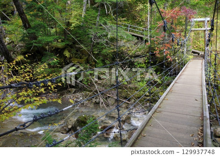 前往乘鞍高原三本瀑布的吊橋 129937748