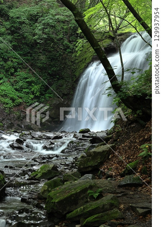 Asama Falls surrounded by fresh greenery 129937954