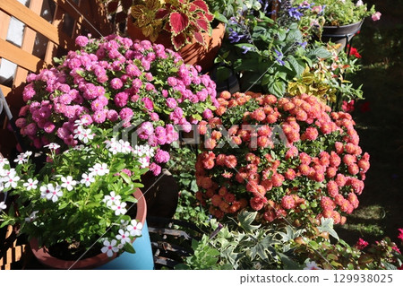 Mum flower pot 129938025