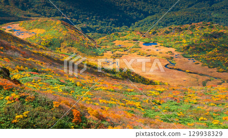Autumn leaves on Mount Kurikoma (Ryusengahara) Autumn leaves on Mount Kurikoma (Ryusengahara) 129938329