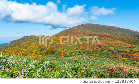 Climbing Mount Kurikoma in autumn (Mount Kurikoma to Mount Masutake: View towards Mount Kurikoma) Climbing Mount Kurikoma in autumn (Mount Kurikoma to Mount Masutake: View towards Mount Kurikoma) 129938404