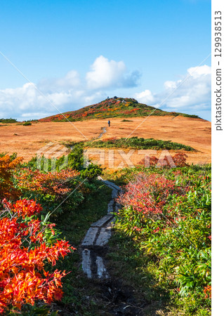 秋季攀登栗駒山(栗駒山~益嶽山:白金濕原) 秋季攀登栗駒山(栗駒山~益嶽山:白金濕原) 129938513