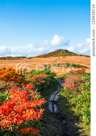 Climbing Mount Kurikoma in autumn (Mount Kurikoma - Mount Masutake: Shirogane Marshland) 129938514