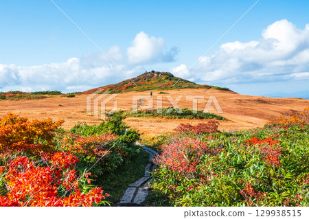 秋季攀登栗駒山（栗駒山～益嶽山：白金濕原） 129938515