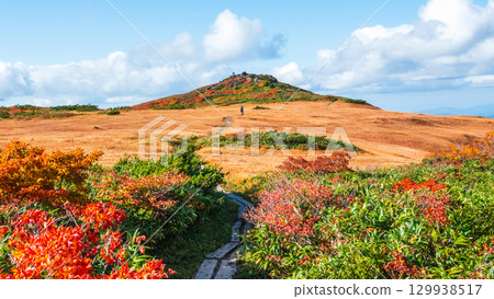Climbing Mount Kurikoma in autumn (Mount Kurikoma - Mount Masutake: Shirogane Marshland) 129938517