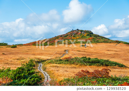 秋季攀登栗駒山（栗駒山～益嶽山：白金濕原） 129938520