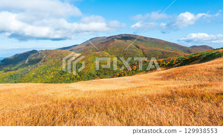 Climbing Mount Kurikoma in autumn (Mount Kurikoma to Mount Masutake: View of Mount Kurikoma from Shirogane Marsh) 129938553