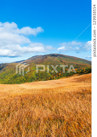 Climbing Mount Kurikoma in autumn (Mount Kurikoma to Mount Masutake: View of Mount Kurikoma from Shirogane Marsh) 129938554
