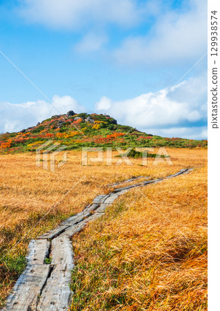 Climbing Mount Kurikoma in autumn (Mount Kurikoma - Mount Masutake: Shirogane Marshland) 129938574