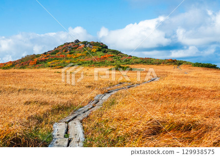 Climbing Mount Kurikoma in autumn (Mount Kurikoma - Mount Masutake: Shirogane Marshland) 129938575