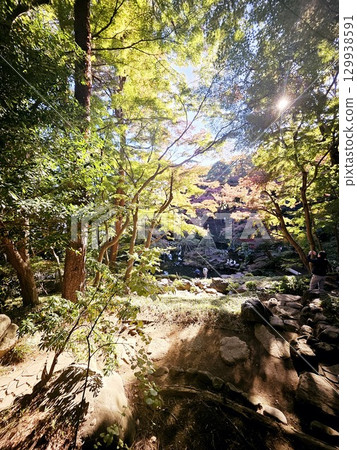 沐浴陽光 沐浴陽光 129938591