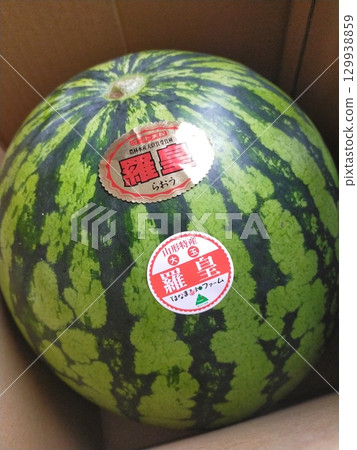 watermelon watermelon 129938859
