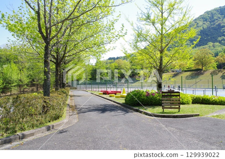 體育公園清新的綠色風景 129939022