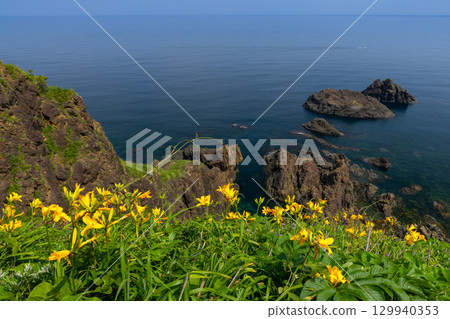 新潟縣佐渡市 - 佐渡島外海府海岸小野龜周圍的飛島萱草群落和日本海 新潟縣佐渡市 - 佐渡島外海府海岸小野龜周圍的飛島萱草群落和日本海 129940353