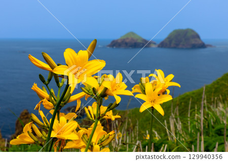 Sado City, Niigata Prefecture - Tobishima day lilies colony around Onogame on the Sotokaifu coast of Sado Island and the Sea of Japan 129940356