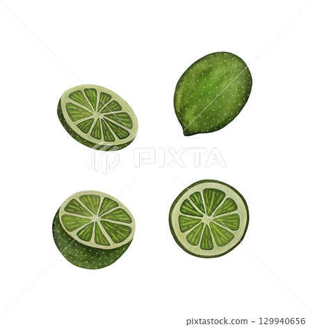 A watercolor illustration featuring a collection of juicy green limes in various forms—whole, halves, wedges, and slices—set against a white background. This fresh and vibrant design is perfect A watercolor illustration featuring a collection of juicy green limes in various forms—whole, halves, wedges, and slices—set against a white background. This fresh and vibrant design is perfect 129940656