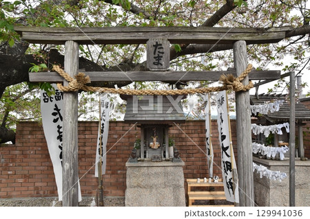 Tama Shrine at Kishi Station, Wakayama 129941036
