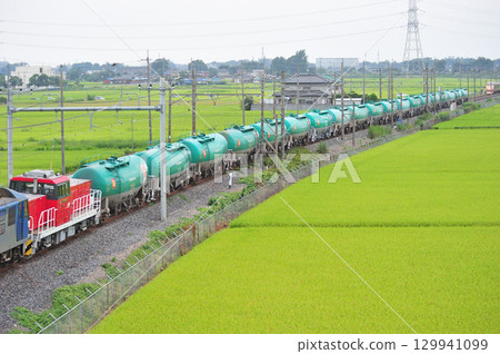 東北幹線、東宮栗橋、JR貨運EF210-161(新鶴見)+ HD300、東武鐵道、106班列車 東北幹線、東宮栗橋、JR貨運EF210-161(新鶴見)+ HD300、東武鐵道、106班列車 129941099