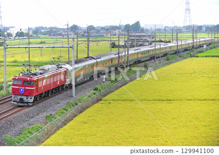 東北本線 東鷲宮栗橋 JR東日本 EF81-80(田端)+ E26系列(奧)仙后座 東北本線 東鷲宮栗橋 JR東日本 EF81-80(田端)+ E26系列(奧)仙后座 129941100