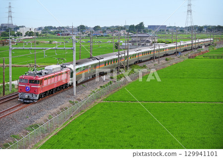 東北本線 東鷲島栗橋 JR東日本 EF81-81(田端)+ E26系列(奧)仙后座 東北本線 東鷲島栗橋 JR東日本 EF81-81(田端)+ E26系列(奧)仙后座 129941101