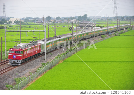 東北本線 東鷲島栗橋 JR東日本 EF81-98（田端）+ E26系列（奧）仙后座 129941103