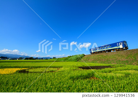 藍天與稻田藝術，秋田內陸線，秋田縣 129941536