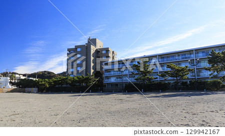 Winter in Shonan (Zushi / Hayama) 129942167