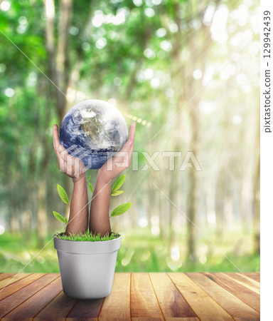 World in Hand and Blurred Beautiful Bokeh in the Garden Background. World environment and earth day with tree planting and green earth on volunteering hands. 129942439