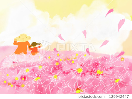 與波斯菊花的風景 129942447