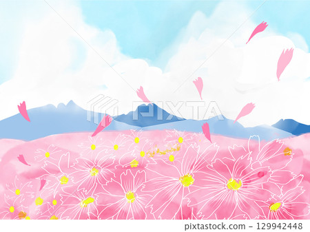 Scenery with cosmos Scenery with cosmos 129942448
