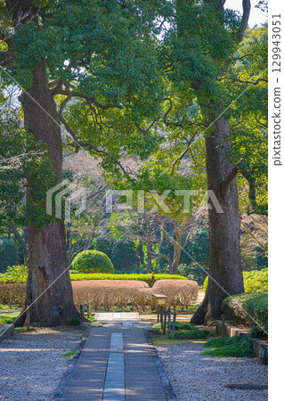 [千葉縣松戶市] 東城邸景色 129943051