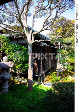 [千葉縣松戶市] 東城邸景色 129943057