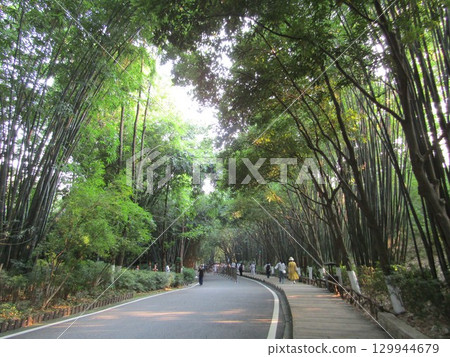 Chengdu Research Base of Giant Panda Breeding Chengdu Research Base of Giant Panda Breeding 129944679