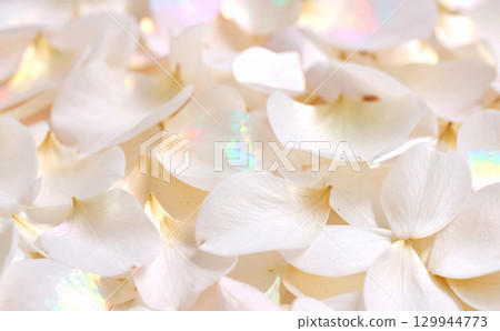 Beige petal background 129944773