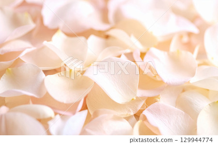 Beige petal background 129944774