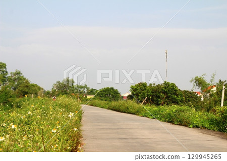 rural road in vietnam with people riding bicycles and motorbikes 129945265
