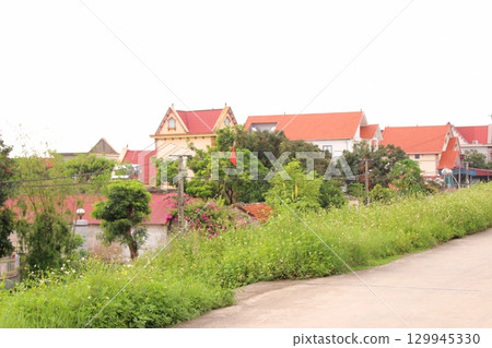 rural road in vietnam with people riding bicycles and motorbikes 129945330
