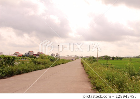 rural road in vietnam with people riding bicycles and motorbikes 129945455