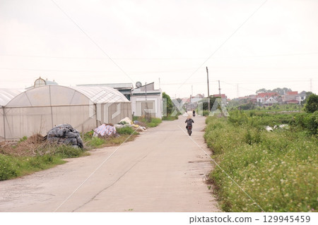 rural road in vietnam with people riding bicycles and motorbikes 129945459