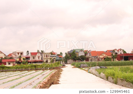 rural road in vietnam with people riding bicycles and motorbikes 129945461