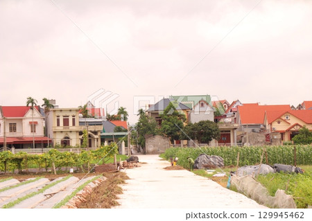 rural road in vietnam with people riding bicycles and motorbikes rural road in vietnam with people riding bicycles and motorbikes 129945462