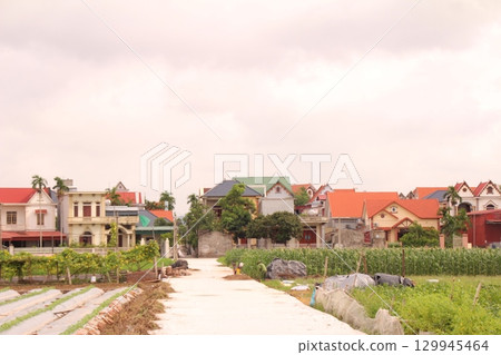 rural road in vietnam with people riding bicycles and motorbikes 129945464