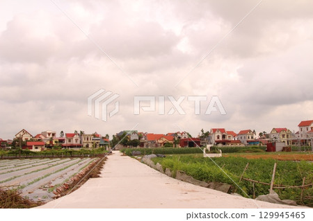 rural road in vietnam with people riding bicycles and motorbikes 129945465