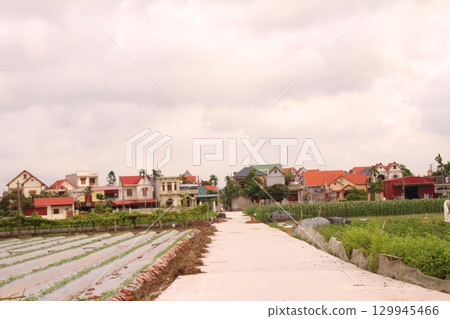 rural road in vietnam with people riding bicycles and motorbikes 129945466