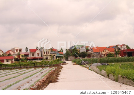 rural road in vietnam with people riding bicycles and motorbikes rural road in vietnam with people riding bicycles and motorbikes 129945467