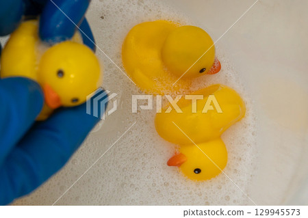 Cleaning Yellow Rubber Ducks in Warm Soapy Water for a Fun and Joyful Experience Cleaning Yellow Rubber Ducks in Warm Soapy Water for a Fun and Joyful Experience 129945573